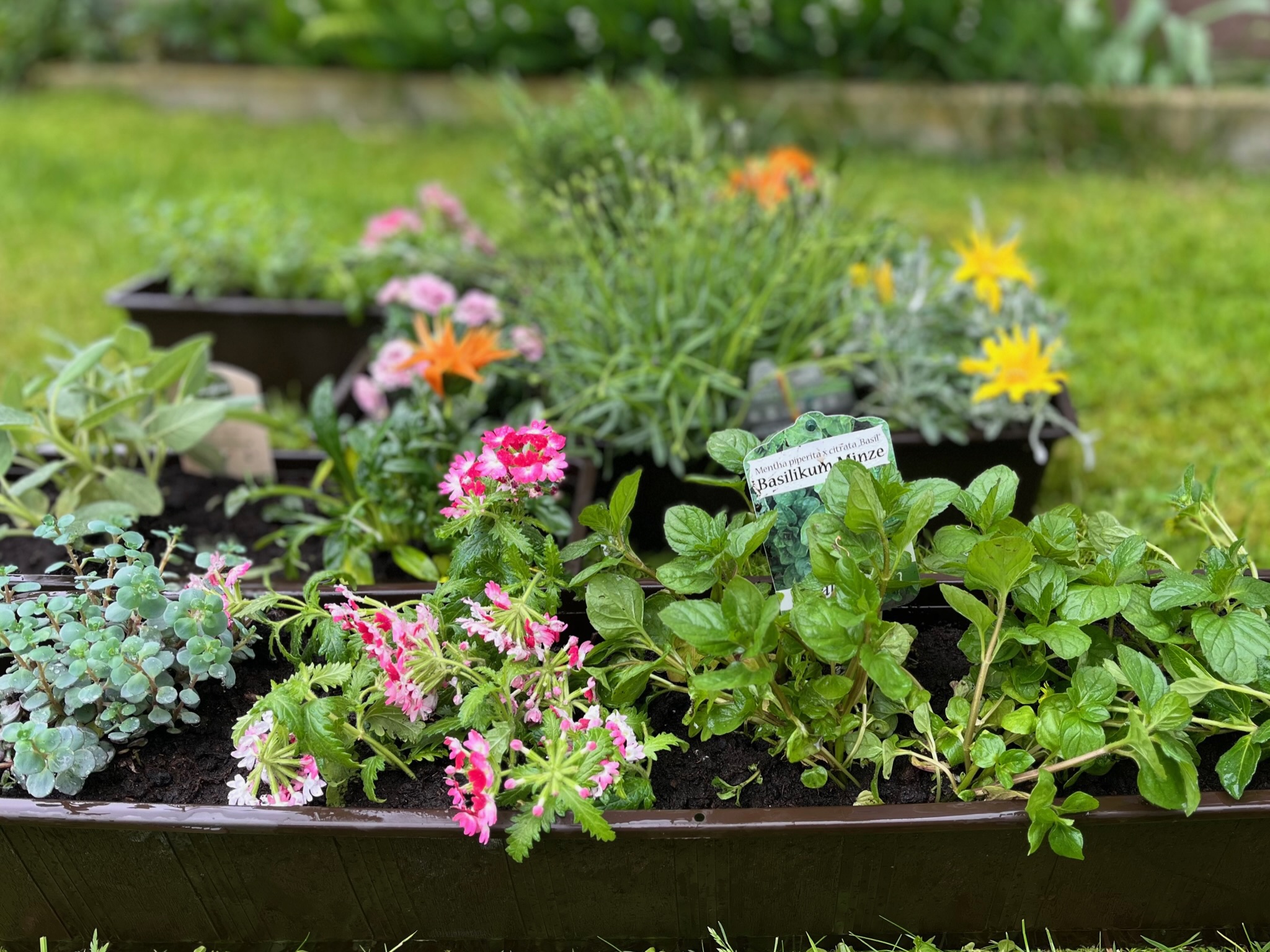 Frische Blumenarrangements im Selbstbedienungsladen