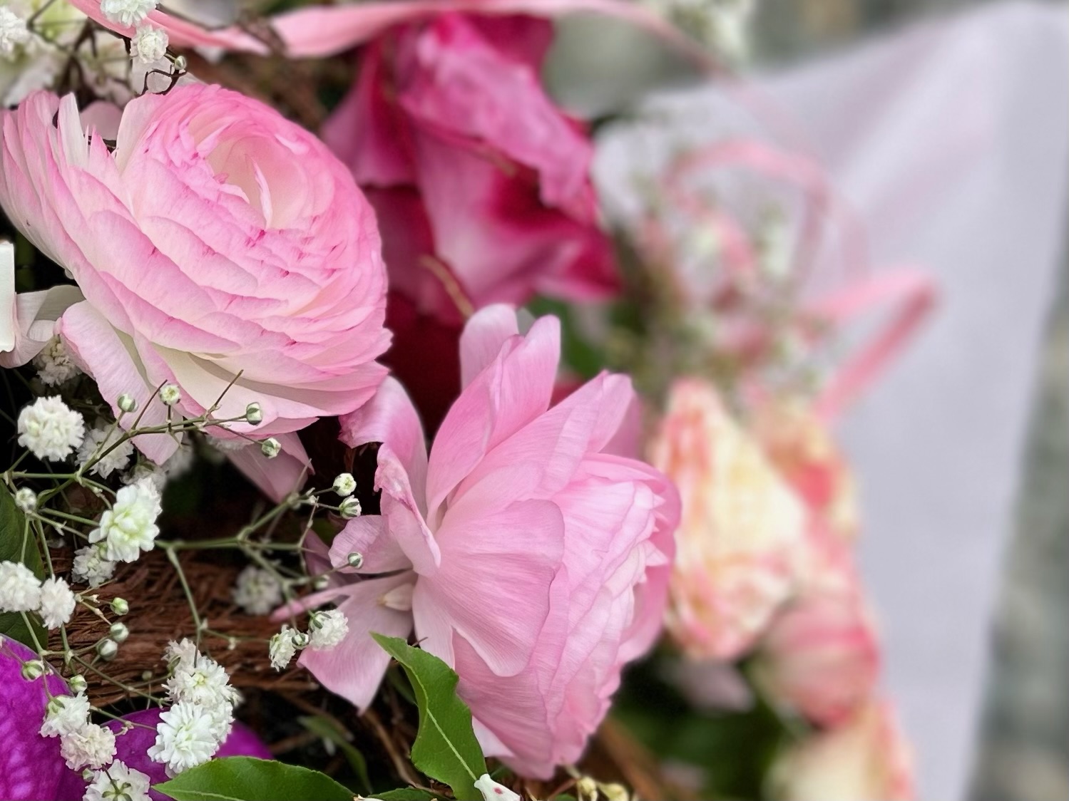 Frische Rosen in verschiedenen Farben